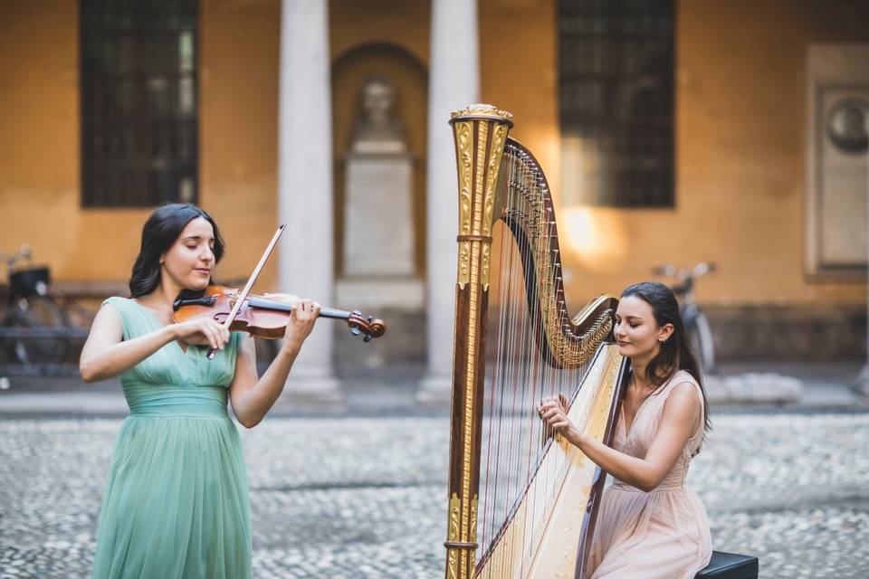 Violino e arpa, 2020