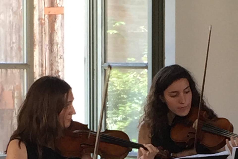 Vivaldi, due violini, 2018