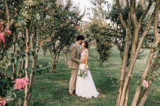 Dorina Maznic Photography