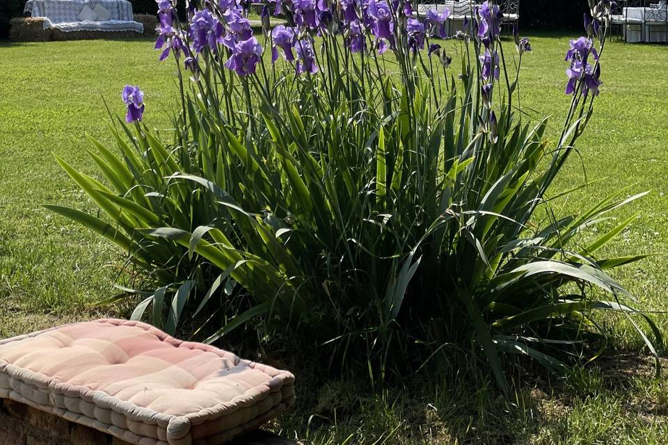 Giardino