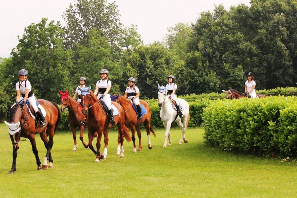 Agriturismo Roccolo