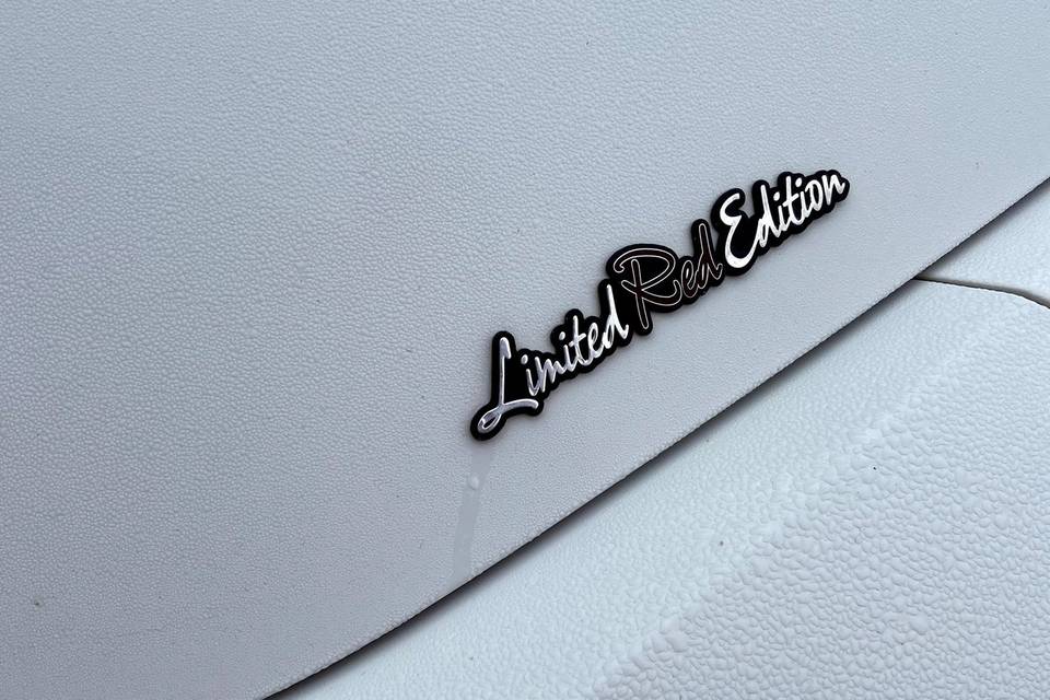 New beetle