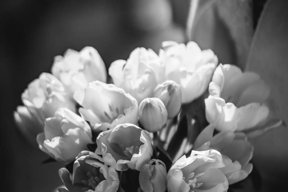 Bouquet tulipani