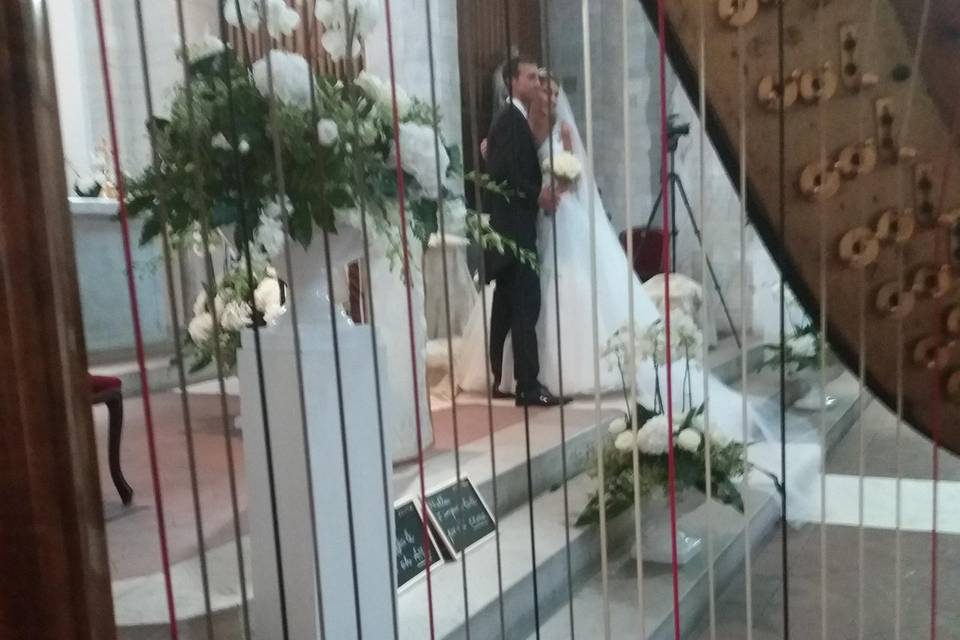 Wedding: arpa, canto, violino