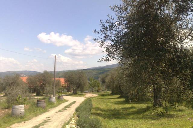 Podere L'Olivastra