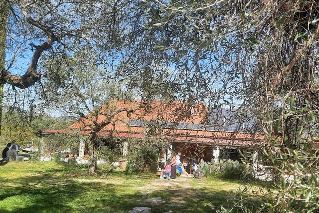 Podere L'Olivastra