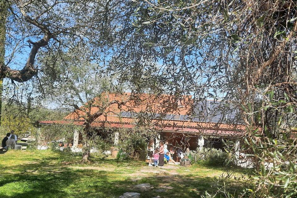 Podere L'Olivastra