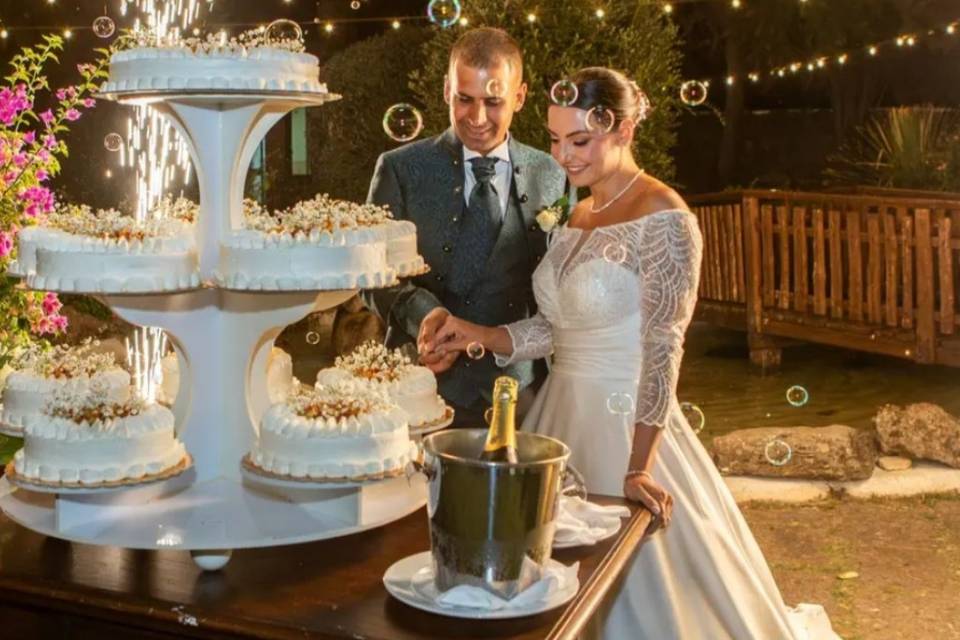 Taglio tortaCondizioni Legali