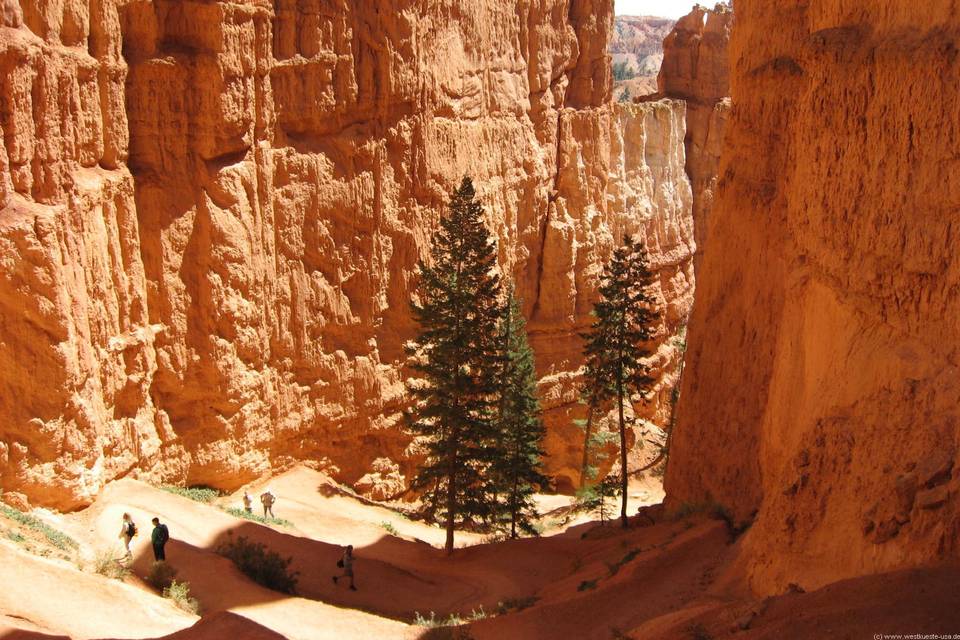 Bryce canyon