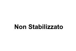 Non Stabilizzato logo