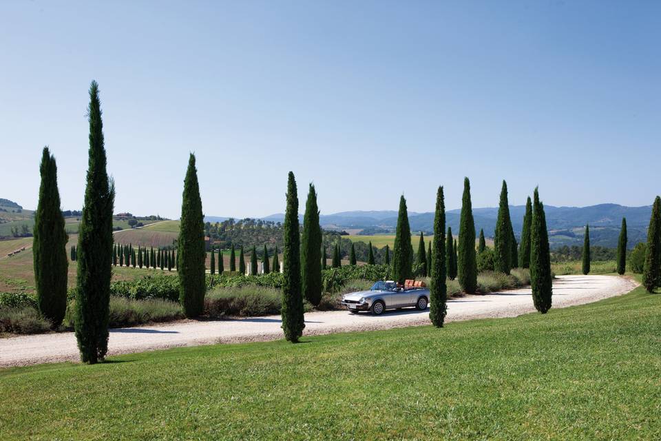 Un viale fiancheggiato