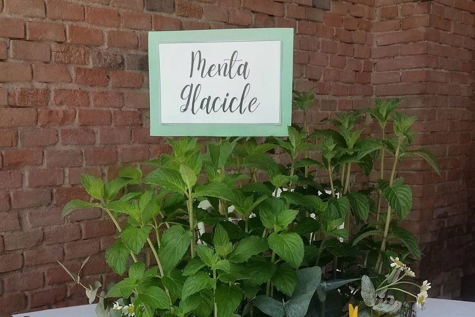 Matrimonio 30 Maggio 2026