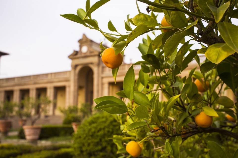 L'arco dal giardino all'italia