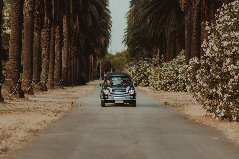 Sposi-auto d'epoca-Palermo