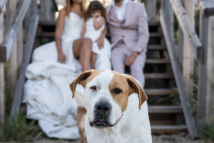 Trash the dress