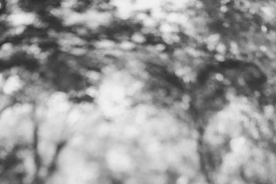 Arianna Moroni Fotografia