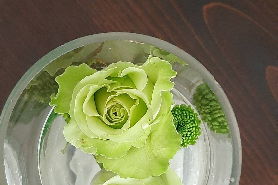 Dettagli in vaso