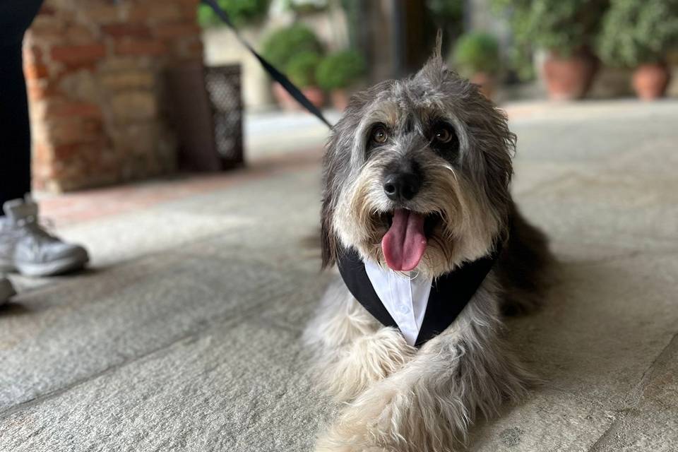 Mascotte di nozze