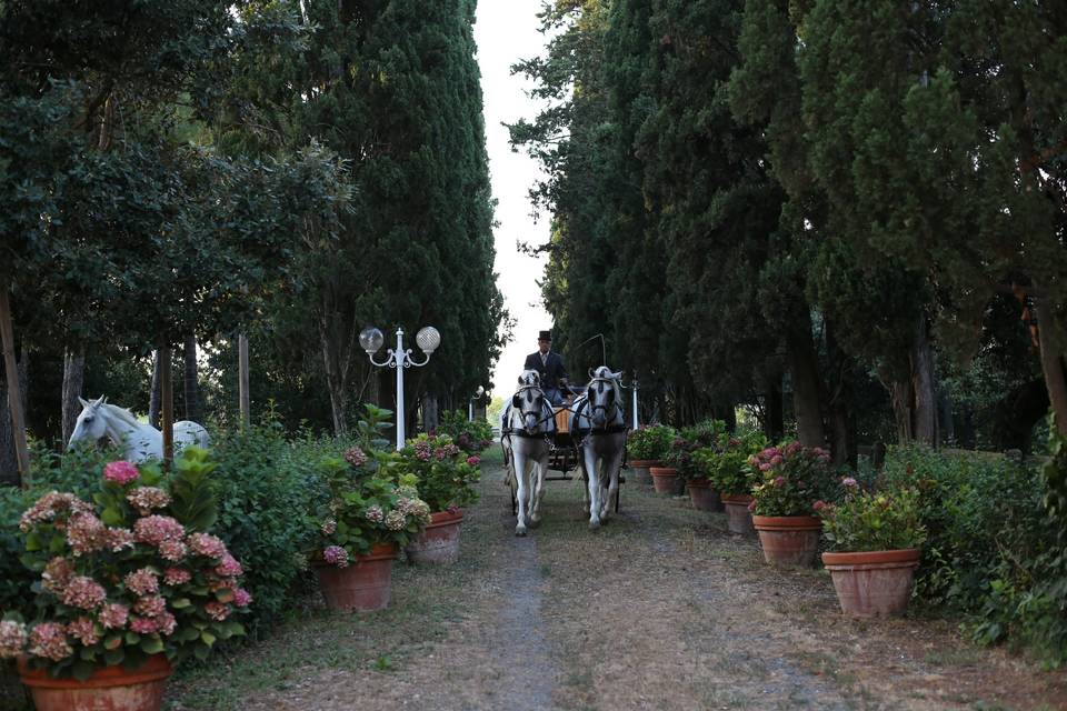 Fattoria La Principina Hotel