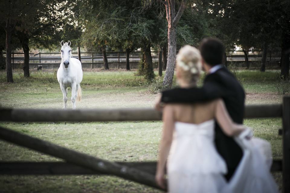 Matrimonio rustico