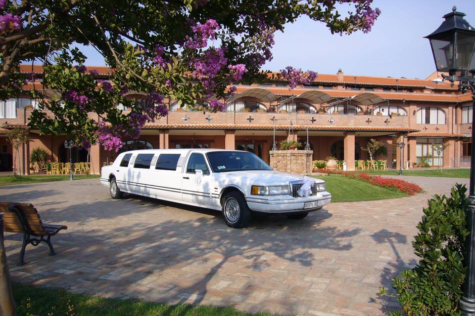 Matrimonio in limousine