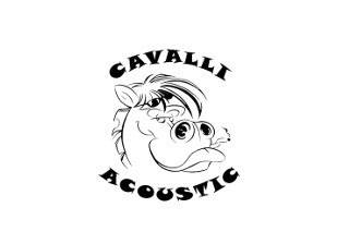 Cavalli Acoustic Quartet