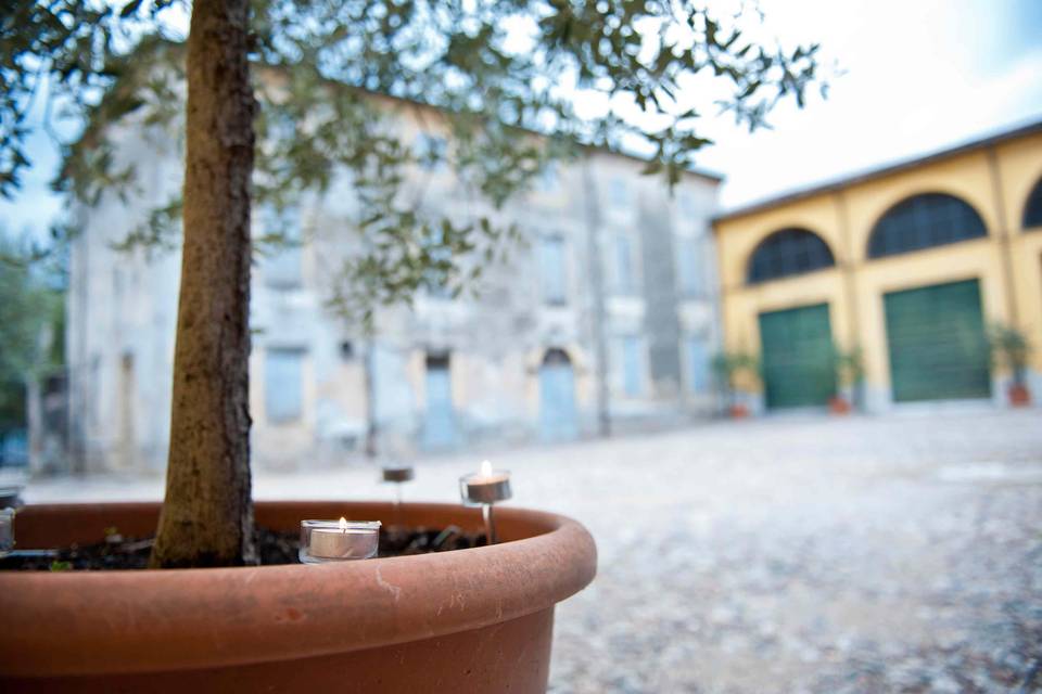 Matrimonio in cantina vinicola