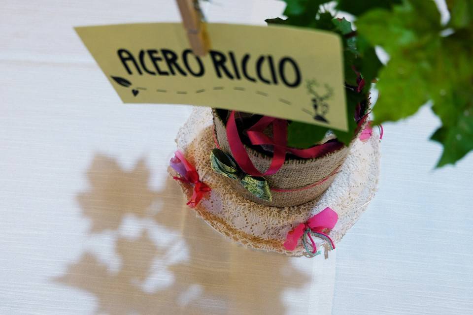 Matrimonio etico e green