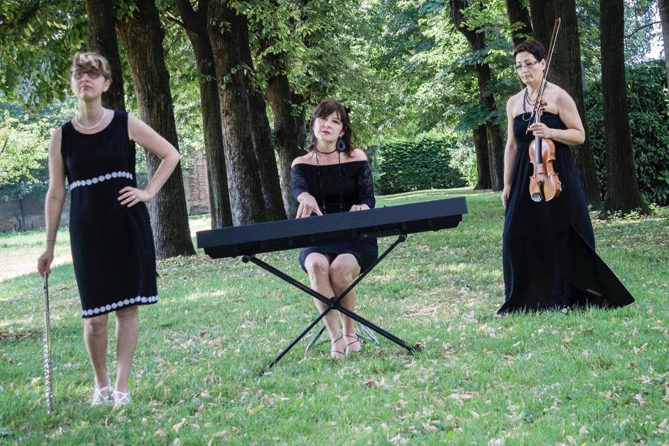 In trio con il pianoforte