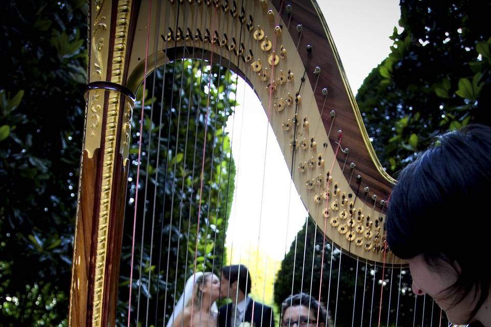 Matrimonio con arpa e flauto