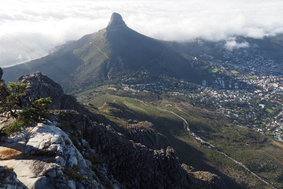 Table Mountain