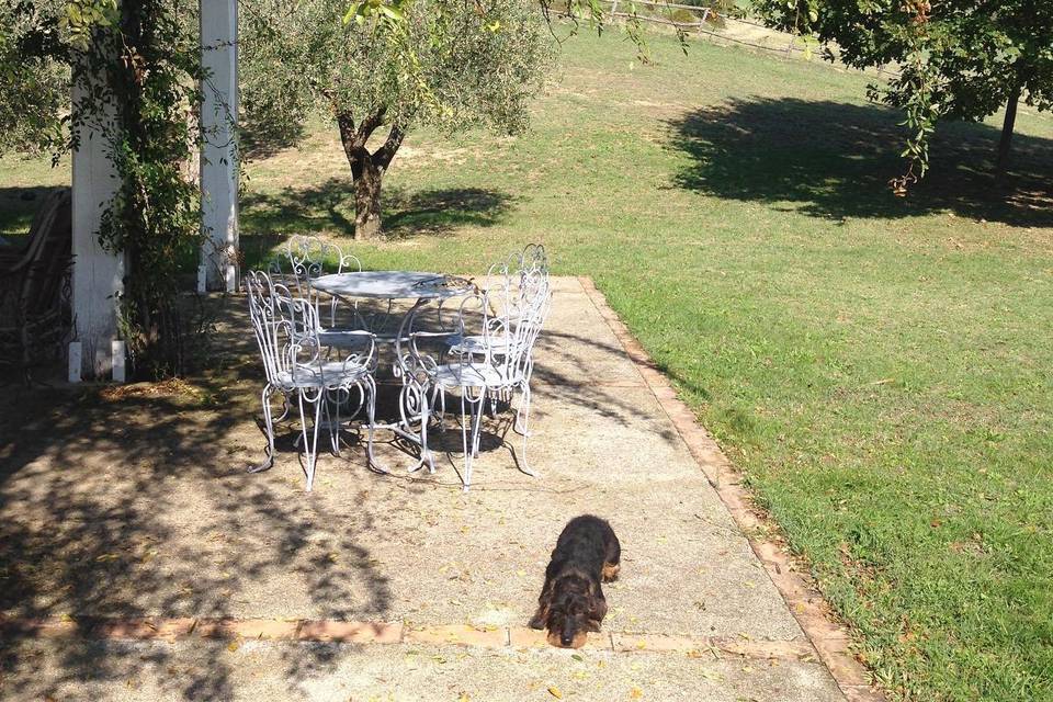 Tenuta Colle Sala