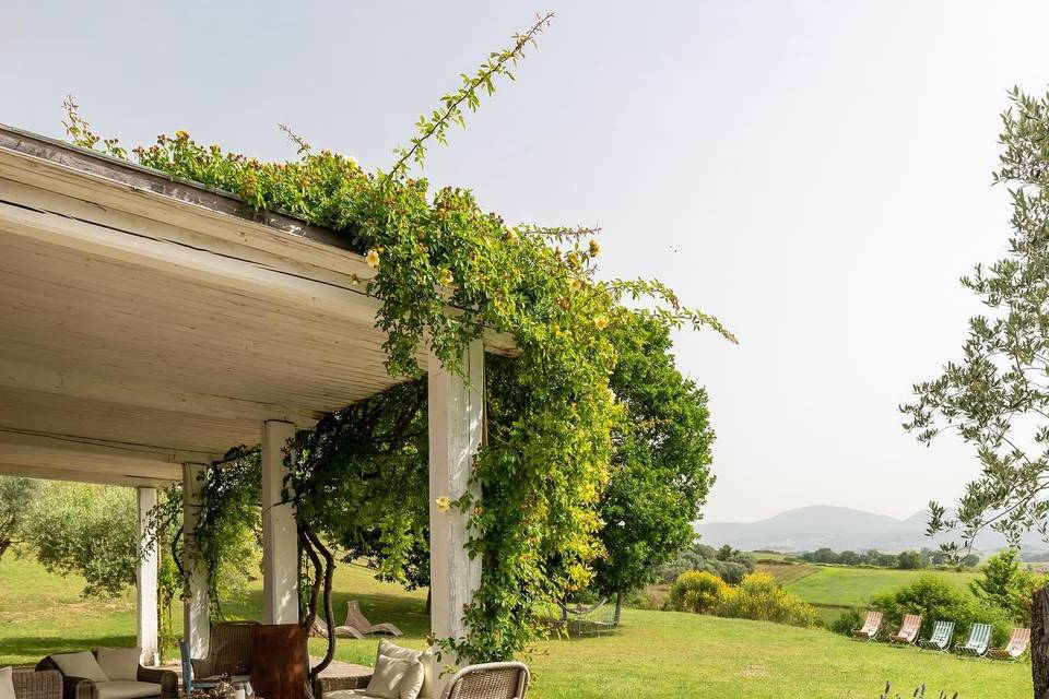 Tenuta Colle Sala