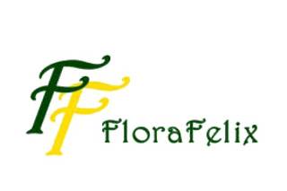 Floral Felix logo