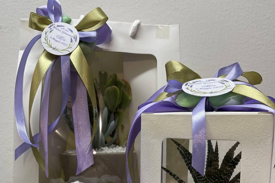 Lavanda mix