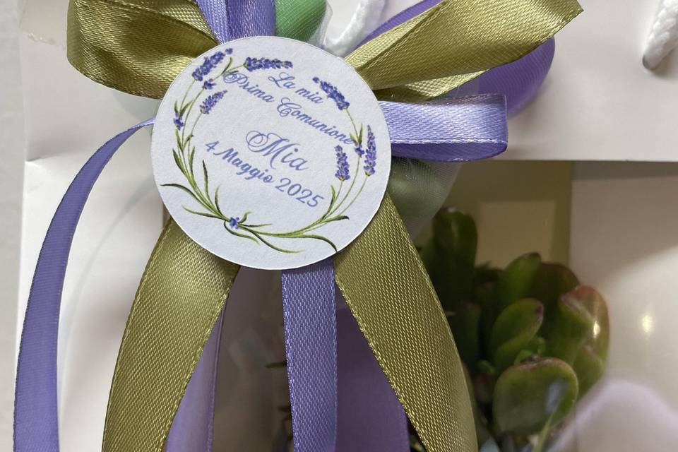 Vita nelle mani