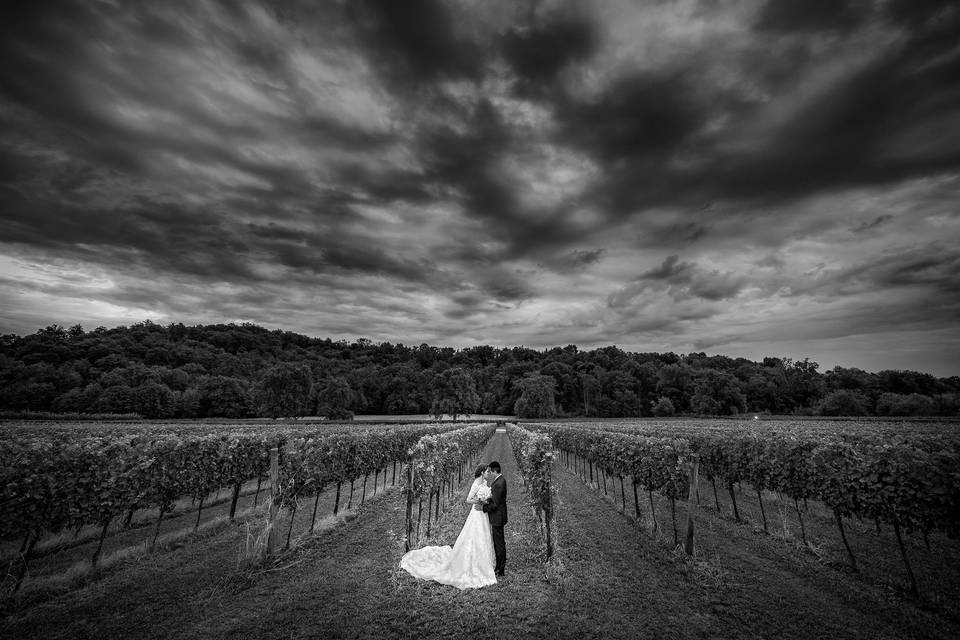 Newlyweds among the vines