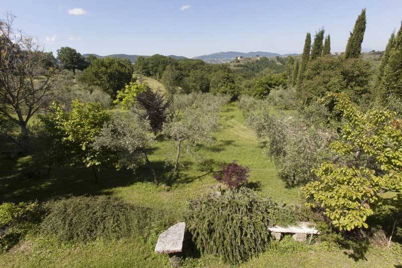 Il giardino