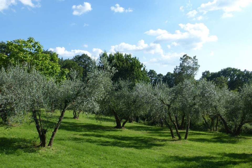 Il giardino