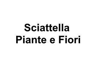 Logo Sciattella Piante e Fiori