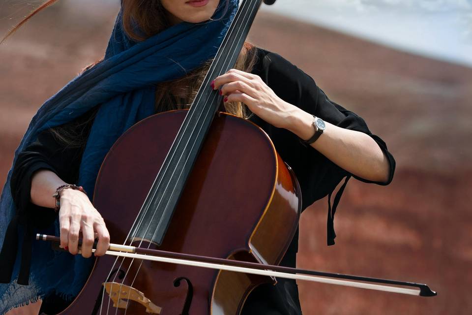 Pianoforte e Violoncello