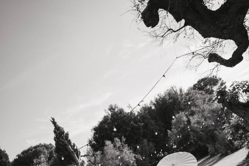 Tania & Francesco