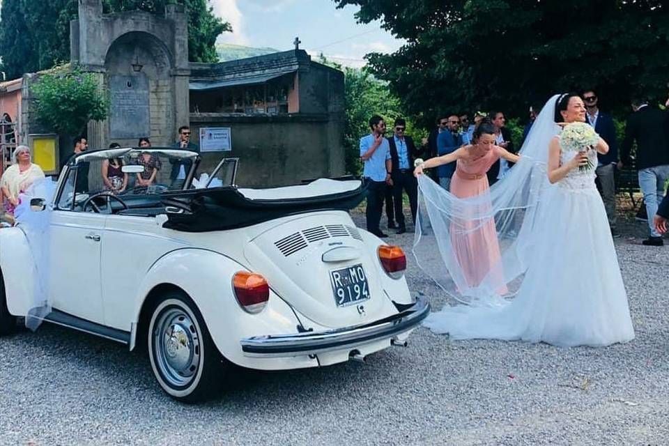 Maggiolino con tulle e fiori