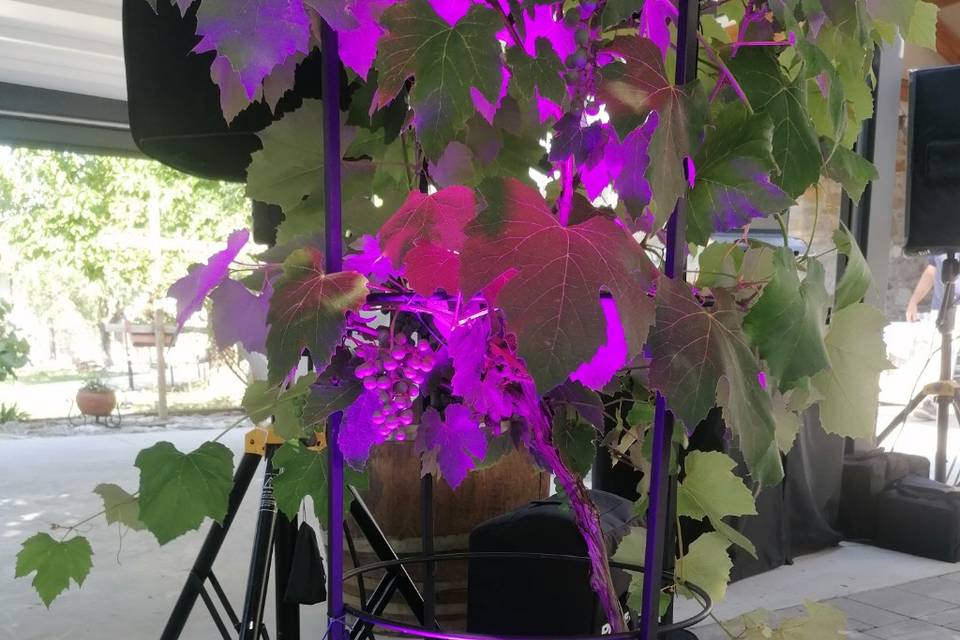 Illuminazione