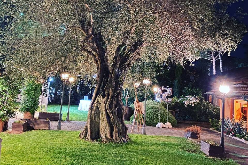 Il Giardino di notte