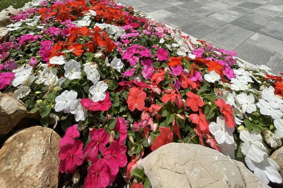 Giardini