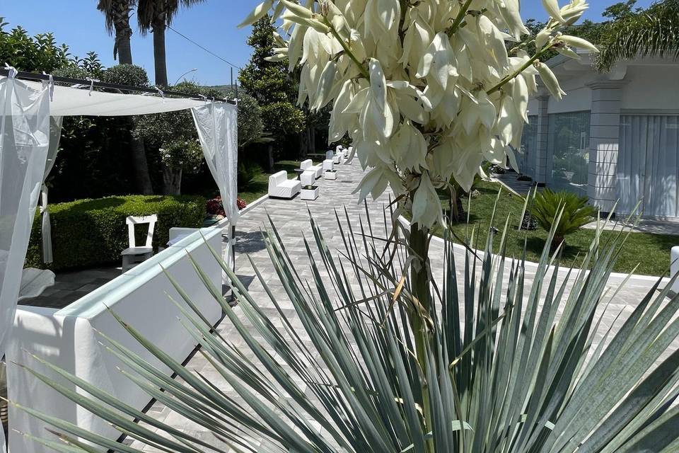 Giardini