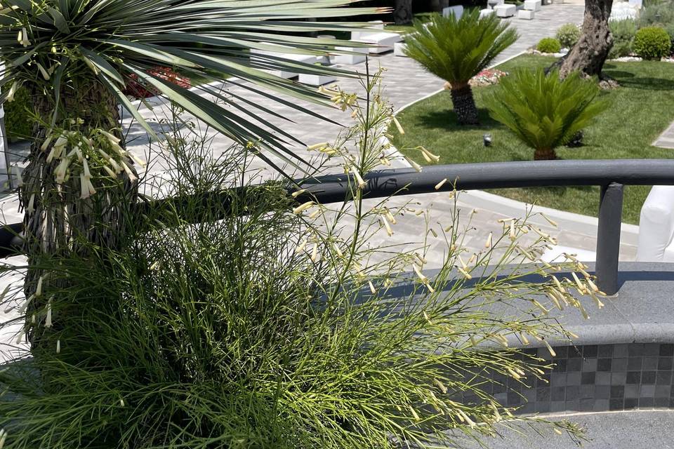 Giardini