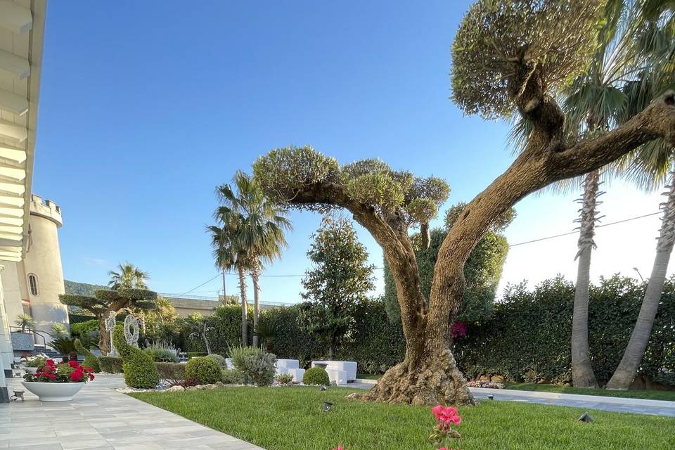 Giardini