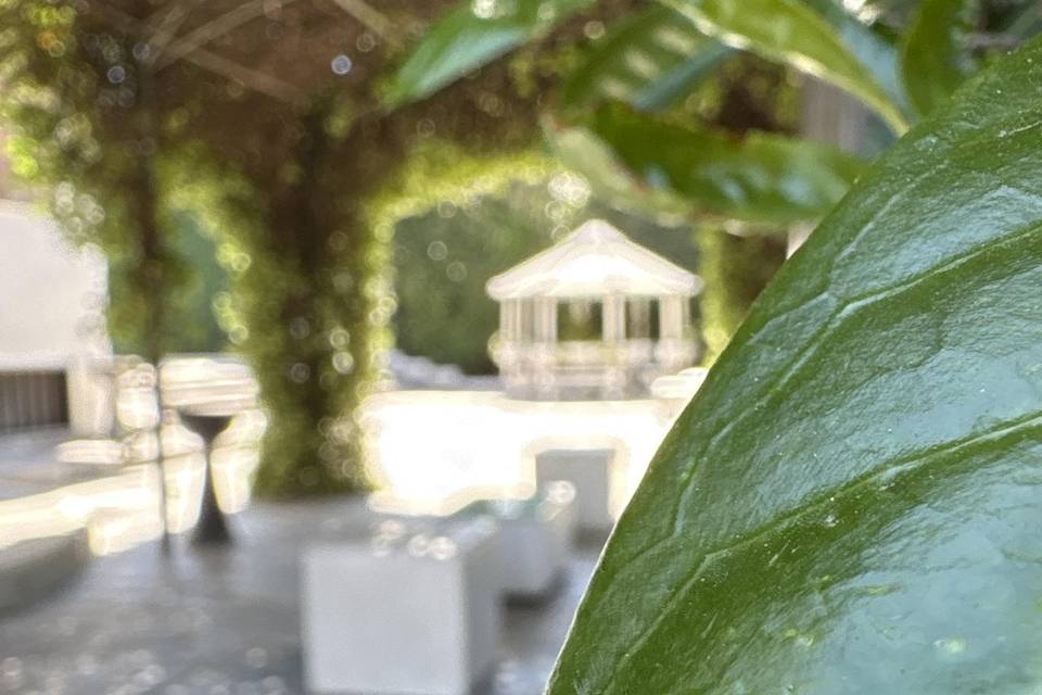 Giardini
